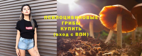 молекула духа Ладушкин